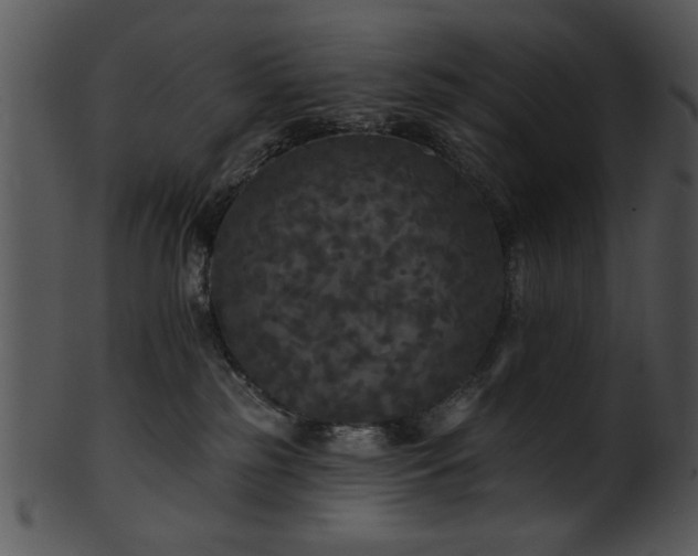 X0000101450185200807141252