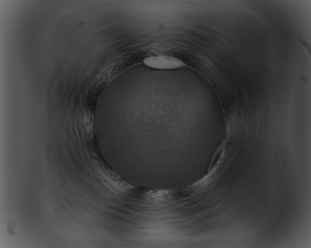 X0000101450186200807141252