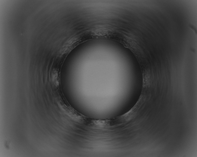 X0000101450187200807141252