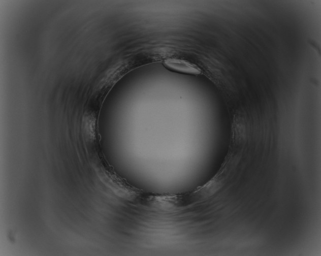 X0000101450188200807141252