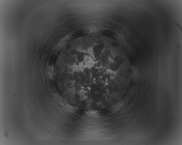 X0000101450189200807141252