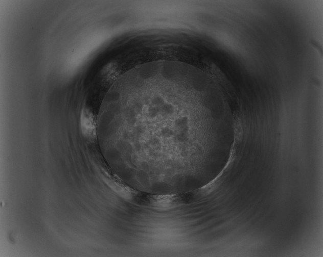 X0000101450191200807141252