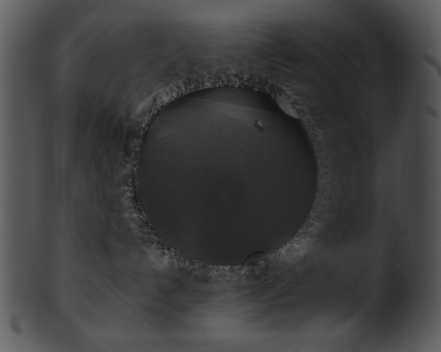 X0000101450192200807141252