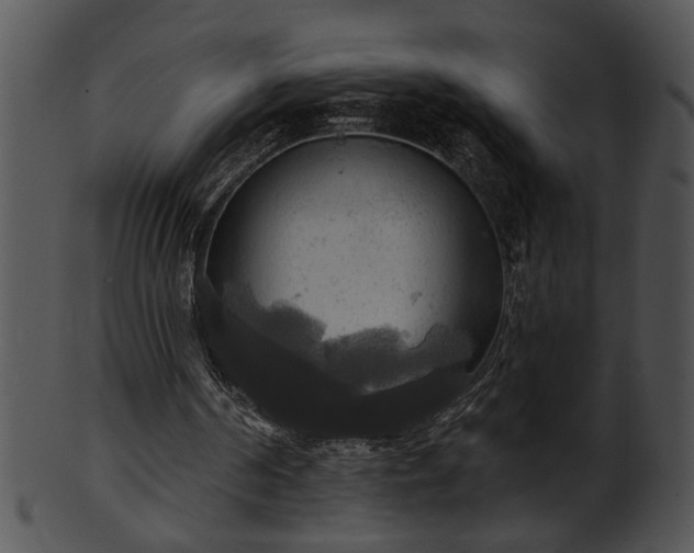 X0000101450194200807141252