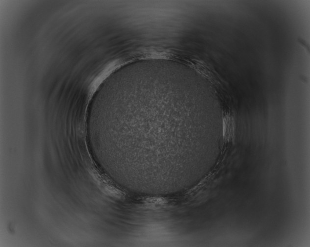 X0000101450195200807141252