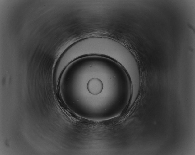 X0000101450196200807141252