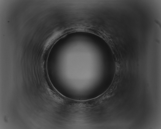 X0000101450197200807141252