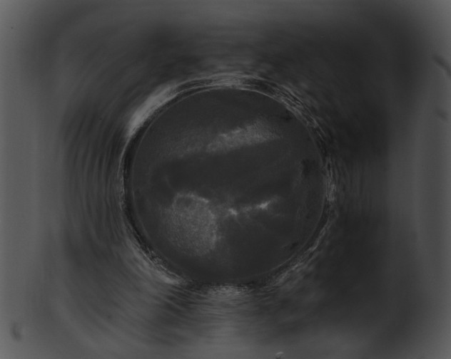 X0000101450198200807141252