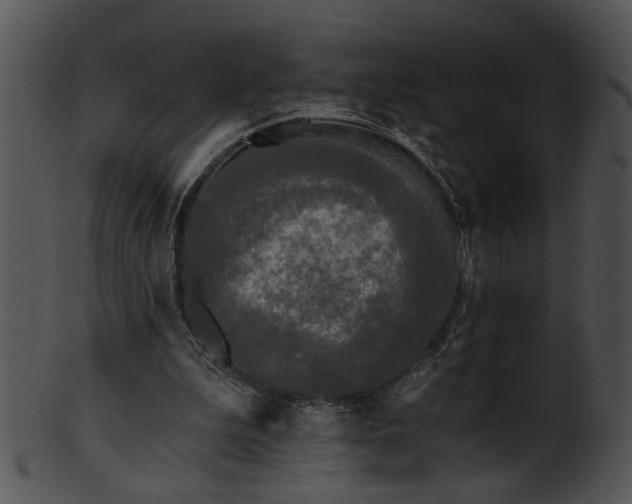 X0000101450199200807141252