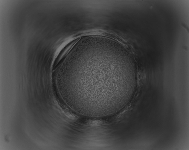 X0000101450200200807141252