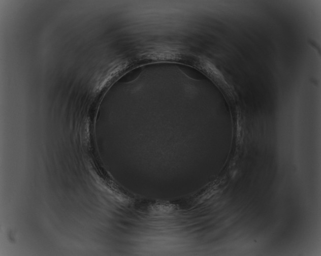 X0000101450202200807141251