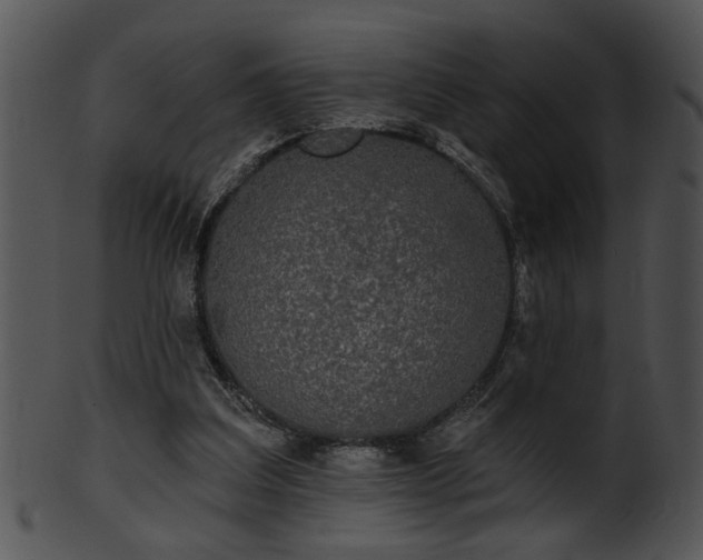 X0000101450203200807141251