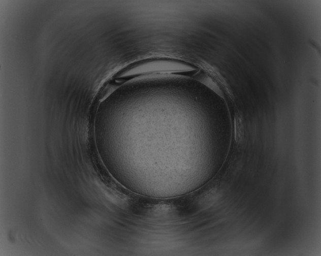 X0000101450204200807141251