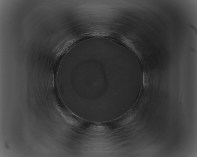 X0000101450205200807141251