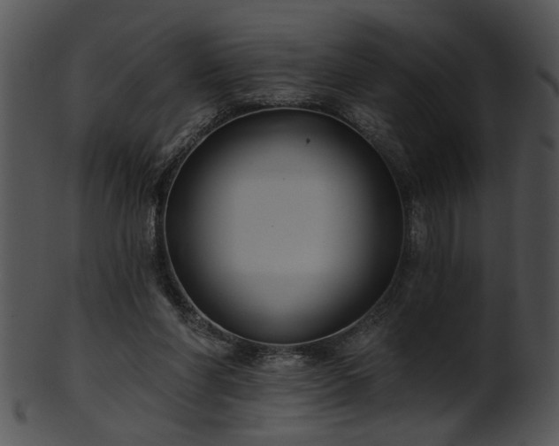 X0000101450206200807141251