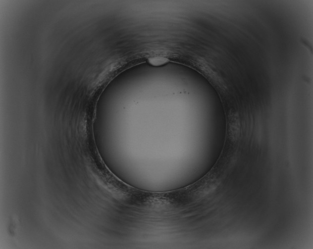 X0000101450207200807141251