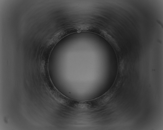 X0000101450209200807141251