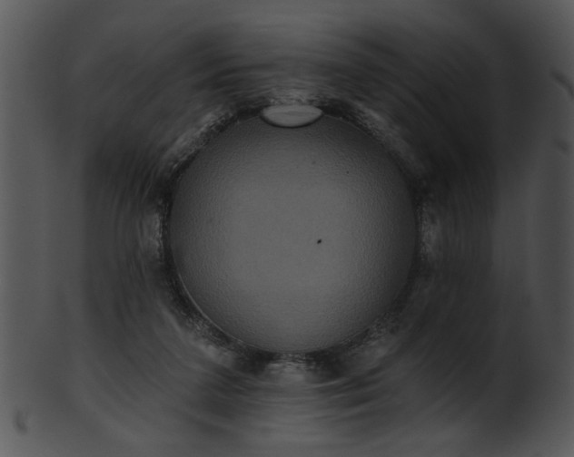 X0000101450211200807141251