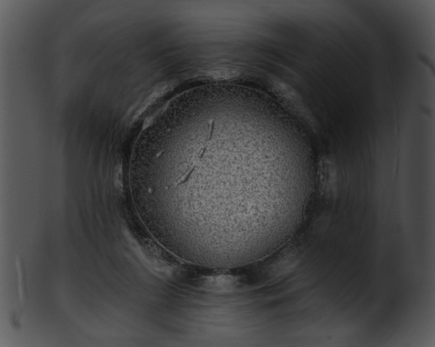 X0000101450212200807141251