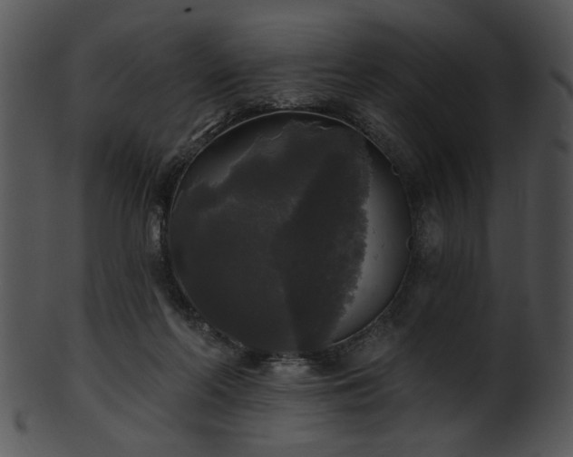 X0000101450214200807141251