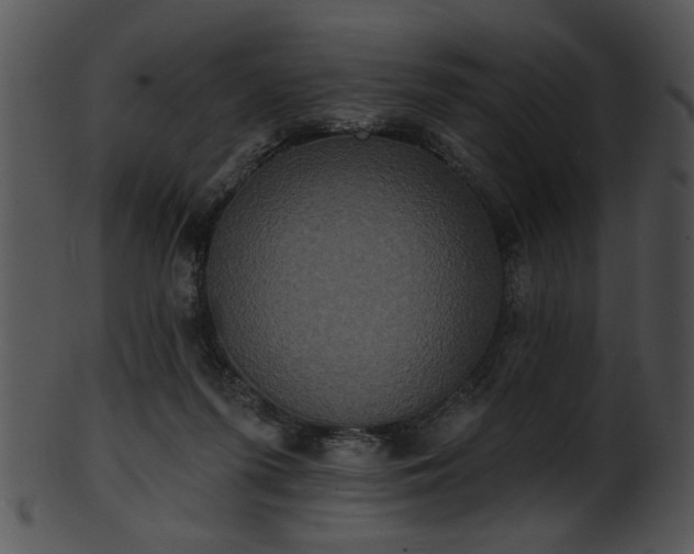 X0000101450215200807141251