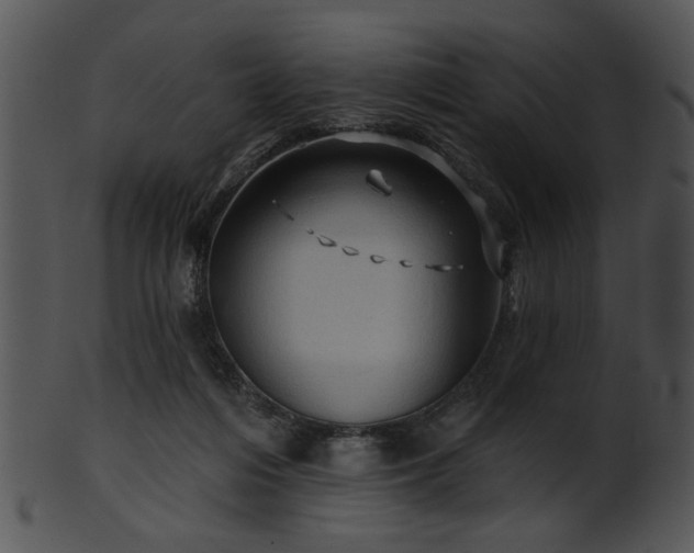 X0000101450216200807141251