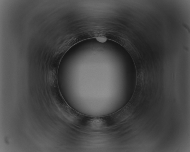 X0000101450218200807141251