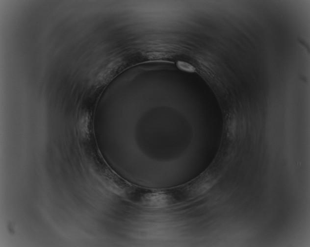 X0000101450219200807141251