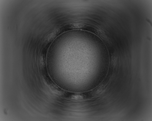 X0000101450220200807141251