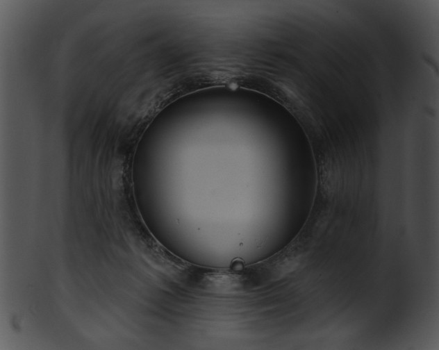 X0000101450221200807141251