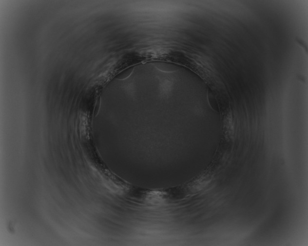 X0000101450222200807141251