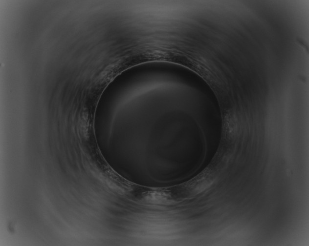 X0000101450223200807141251