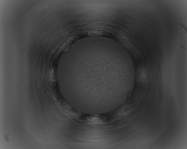 X0000101450224200807141251