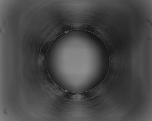 X0000101450225200807141251