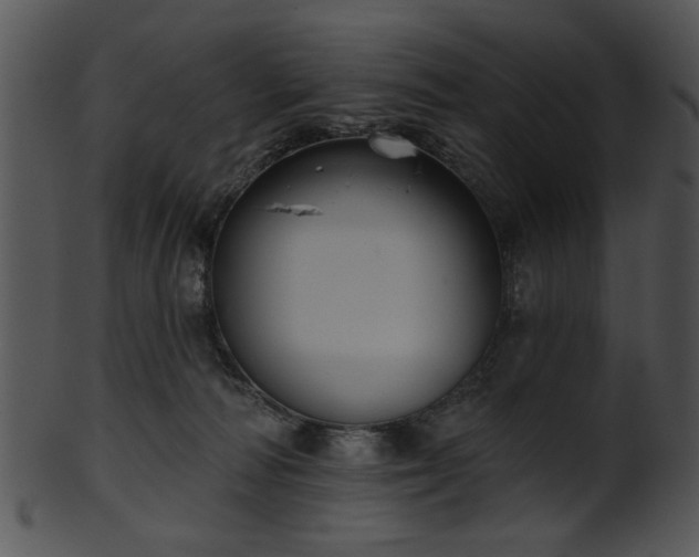 X0000101450226200807141251