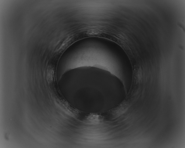 X0000101450227200807141251