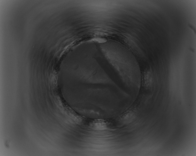 X0000101450228200807141251