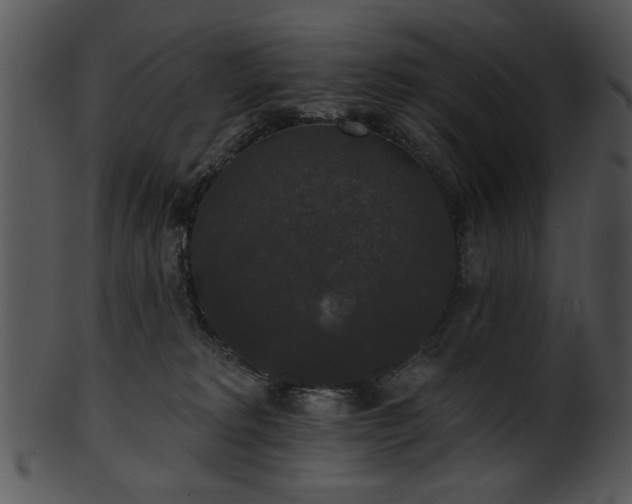 X0000101450229200807141251