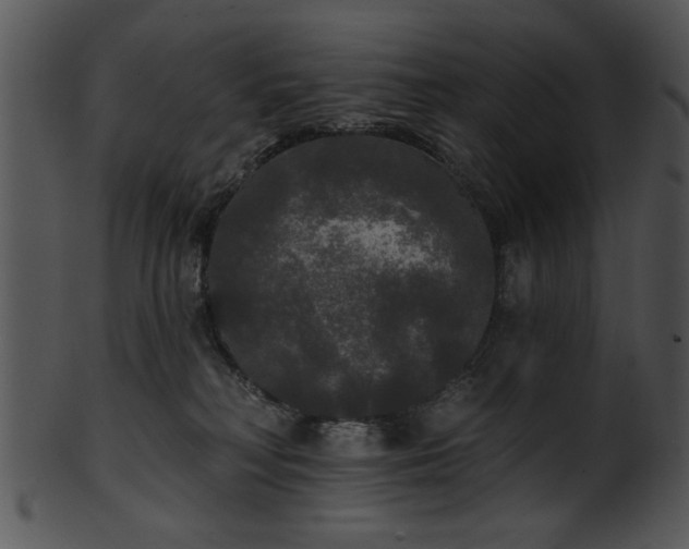 X0000101450230200807141251