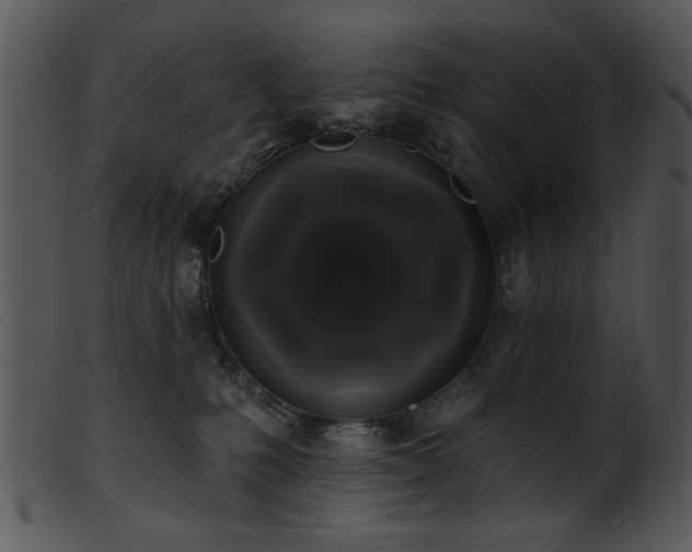 X0000101450231200807141251