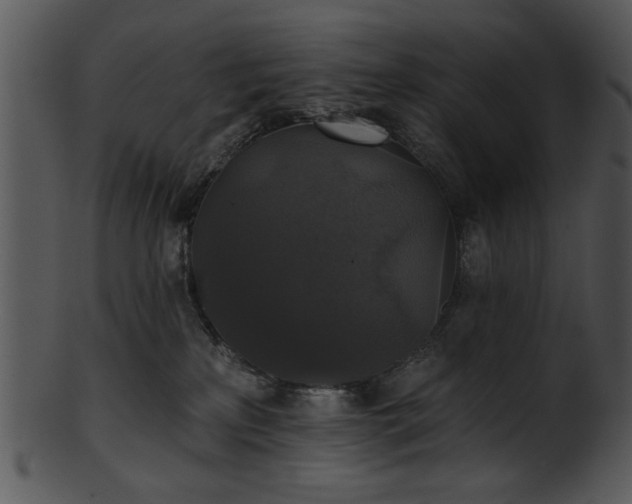 X0000101450233200807141251