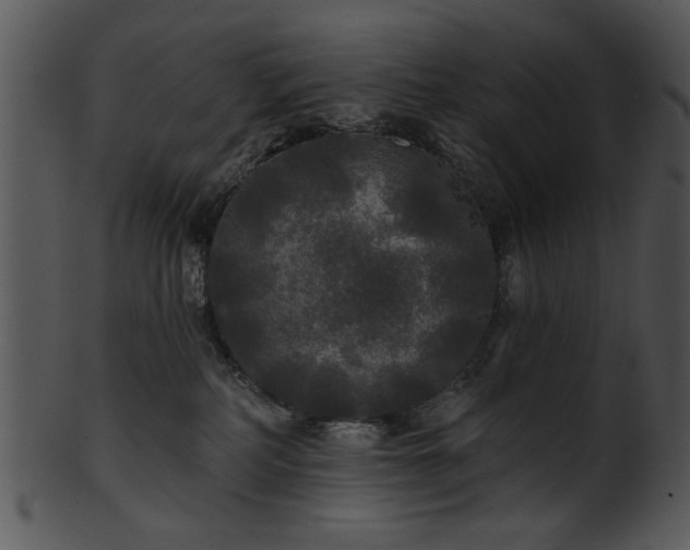 X0000101450234200807141251