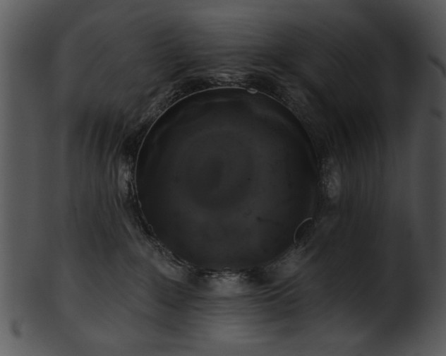 X0000101450235200807141251