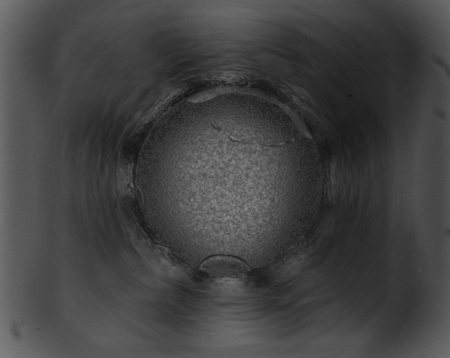 X0000101450236200807141251