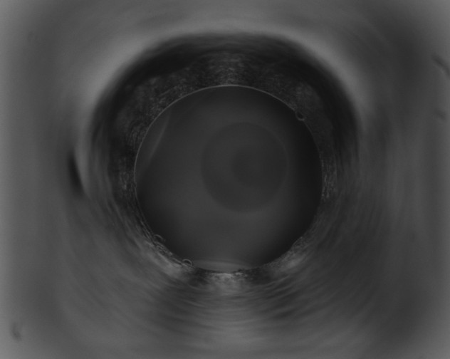 X0000101450239200807141251