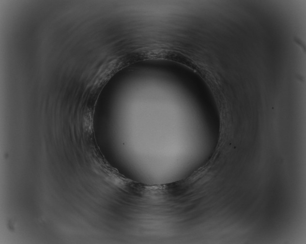 X0000101450240200807141251