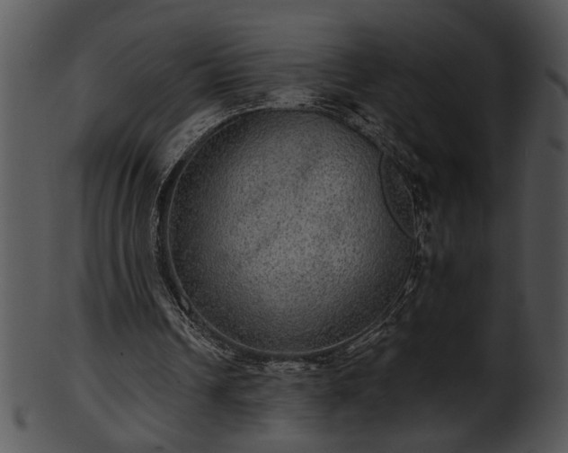 X0000101450242200807141250