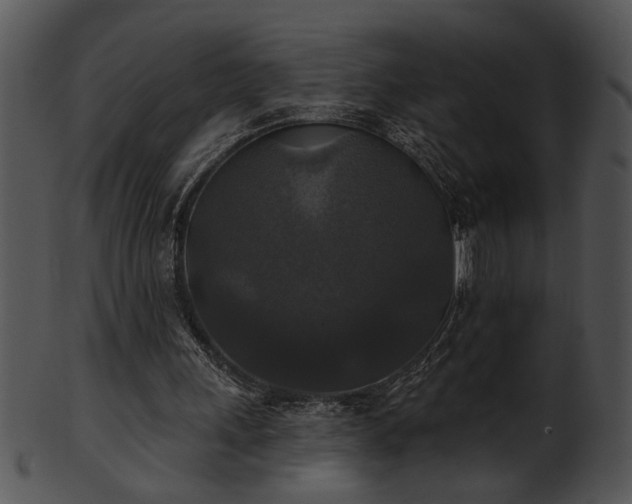 X0000101450243200807141250