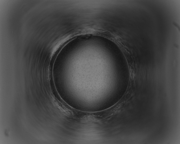 X0000101450244200807141250