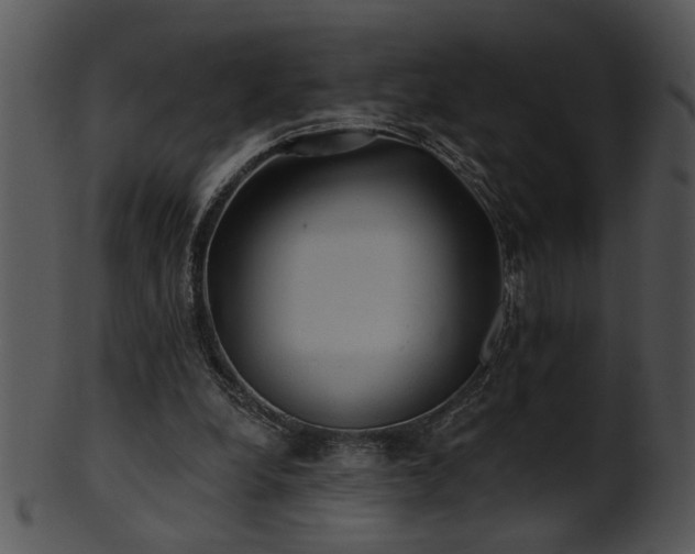 X0000101450248200807141250